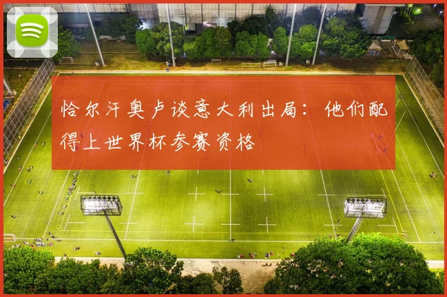 恰尔汗奥卢谈意大利出局:他们配得上世界杯参赛资格