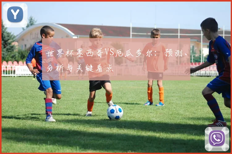世界杯墨西哥VS厄瓜多尔:预测、分析与关键看点
