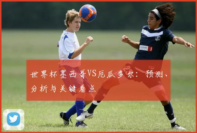 世界杯墨西哥VS厄瓜多尔:预测、分析与关键看点