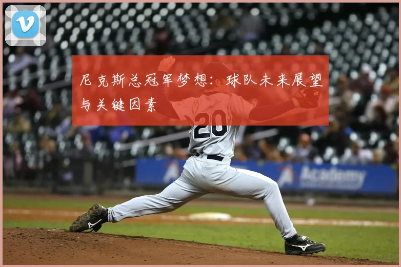 尼克斯总冠军梦想:球队未来展望与关键因素
